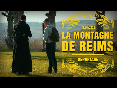 La Montagne de Reims - Reportage